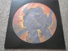DISMEMBER -MASSIVE KILLING CAPACITY- AWESOME VERY RARE LTD PRESS LP VINYL PICT D