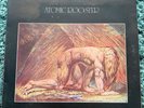 Atomic Rooster Death Walks Behind You 12
