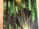 THE PROMISE RING - WOOD/WATER + X 2 ETCHED CLEAR LPS - 2018 ISSUE - EX