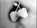 Rock - Silver Apples - Kapp - 60’s Psych Punk Experimental Rare Classic