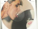Blondie Parallel Lines 1978 Picture Disc LP Vinyl Chrysalis Records - Dish Warp