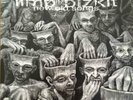 New Old Songs - by Limp Bizkit, Vinyl LPx2,PA, 2001