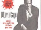 MARVIN GAYE-DUTCH PICTURE SLEEVE + 45-(THAT'S THE WAY LOVE IS)--PS--PIC--SLV
