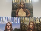 Lana Del Rey Born to Die the Paradise Edition Box Set Complete 3 Vinyl Records