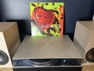Breeders Last Splash 2018 Reissue Vinyl Record Album LP Ex/Ex