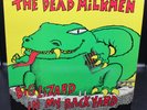 DEAD MILKMEN Lp Big Lizard In My Backyard NM 1st Press 1985 Insert & Logo Patch
