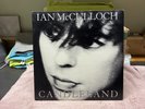 Ian McCulloch Candleland Vinyl LP VG+ Condition Rock Alternative