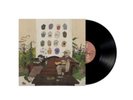 BUFFALO TRAFFIC JAM - PICTURES OF YOU - Vinyl Record - M15z
