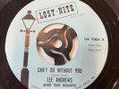 Lee Andrews Cant Do Without You VG Soul 7