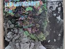H.P. LOVECRAFT 1ST LP NEAR MINT VINYL 1967 PSYCHEDELIC CLASSIC  PHILIPS – PHS-60