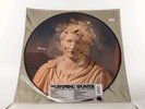 The Offspring SPLINTER (20TH ANNIVERSARY) RSD 2024 New Vinyl Picture Disc LP