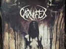 Carnifex - Until I Feel Nothing Clear/Red Vinyl Deathcore Victory Records