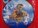 Iron Maiden Castle Donnington 1998 Monsters of Rock (Picture Disc) LP