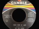 DEE DEE SHARP What kind of lady  NORTHERN SOUL 45 Rare CLEAN