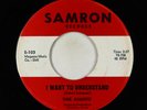 Garage 45 - Thee Avantis - I Want To Understand - Samron