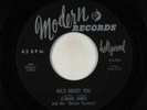 Elmore James Wild About You