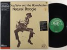 Hound Dog Taylor 