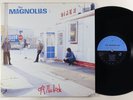 Magnolias 