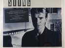 Sting 