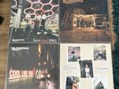 Blossoms Vinyl Bundle