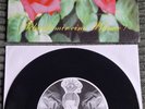 Broilers - Schenk mir eine Blume Vinyl 7
