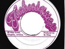 SUPER RARE REGGAE 45 - VIBRATORS ON TECHNIQUES - RISE & FALL - MINT