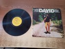 HAND SIGNED  MINT-EXC 1960s David Houston – David houston 26482 LP33