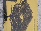 Jack Johnson - In Between Dreams New Vinyl LP