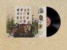 BUFFALO TRAFFIC JAM PICTURES OF YOU SIGNED Vinyl Record IN HAND SEALED