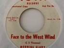 Psych Rural Rock 45 MORNING GLORY Face To The West Wind / Happiness To Homeland
