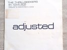 The Thrillseekers By Your Side 12