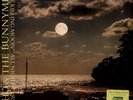 Echo & The Bunnymen - The Killing Moon Black Friday R (Vinyl 12