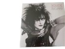 Siouxsie & the Banshees  Just Landed Florida Broadcast 1987 Vinyl Double Album