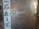 Unanimated ‎– In The Light Of Darkness. Splatter Vinyl