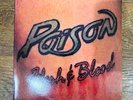 Poison Flesh & Blood Rock 12