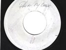 RARE WHITE LABEL REGGAE 45 - MAIN ROOTS - PLEAD MY CAUSE