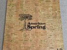 AMERICAN SPRING — American Spring United Artists UAS 29363 (UAS 5571). UK, 1972.