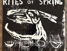 Rites Of Spring-“S/T” LP DISCHORD RECORDS EMO HARDCORE FUGAZI DEADLINE EMBRACE