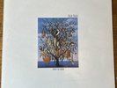TALK TALK - SPIRIT OF EDEN - VINYL LP 1988 UK 1st Press PCSD105 A-1-1-1B-1-1-1