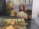 Lana Del Rey Born to Die the Paradise Edition Box Set  3 Records EX/EX+/EX+/EX+