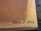 RARE Frightened Rabbit - The Midnight Organ Fight / Quietly Now NUMBERED PRINT