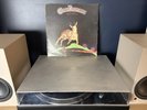 Captain Beefheart Bluejeans And Moonbeams UK 1978 Reissue Vinyl LP VG/VG