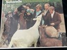The Beach Boys Pet Sounds Stereo Vinyl LP Record Super Clean See Pics