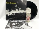 DEAD KENNEDYS Fresh Fruit Rotting Vegetables TENTACLES LP Vinyl Punk Poster