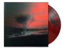 Joji - Piss In The Wind Ruby Black Wave Colored Vinyl Edition (2026 - Original)