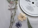 WOLF ALICE The Clearing 12