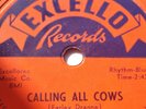 BLUES ROCKERS Calling All Cows /Johnny May EXCELLO 2062 10