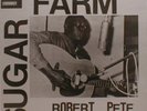Robert Pete Williams - Sugar Farm