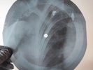 HOWLIN WOLF SMOKESTACK LIGHTNIN X-Ray USSR Record Roentgen Bone Ribs Music Vinyl