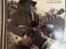 Blue Bird /Jimmy Rodger’s